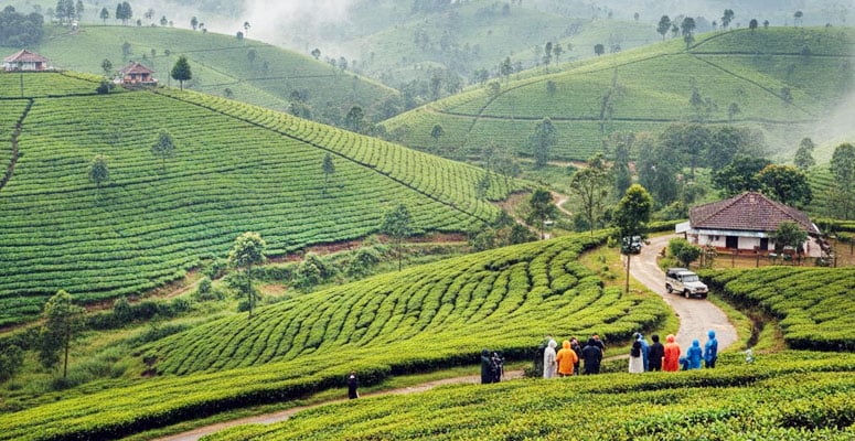 Vagamon
