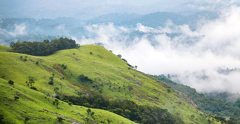 Wayanad