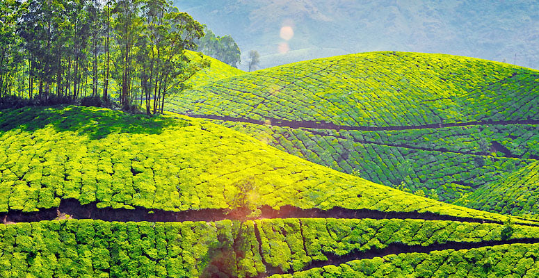 best time to visit Kerala