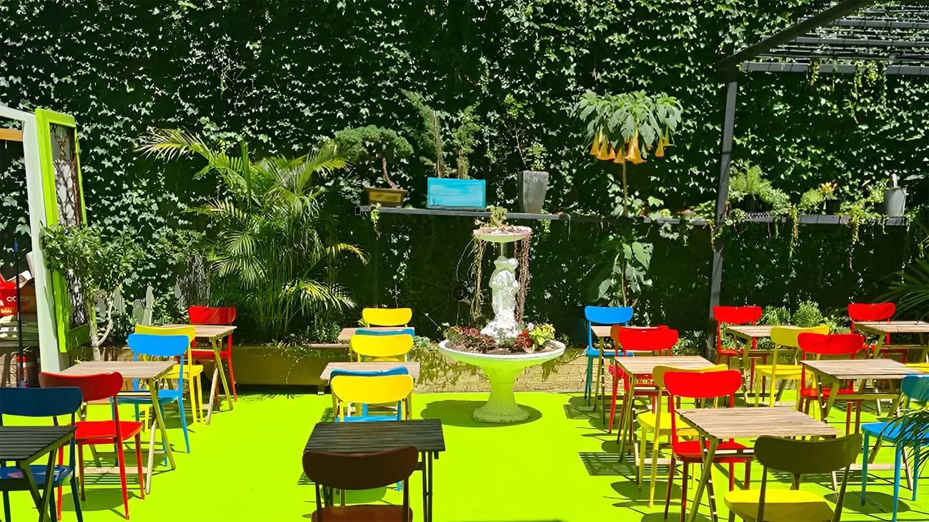 The garden