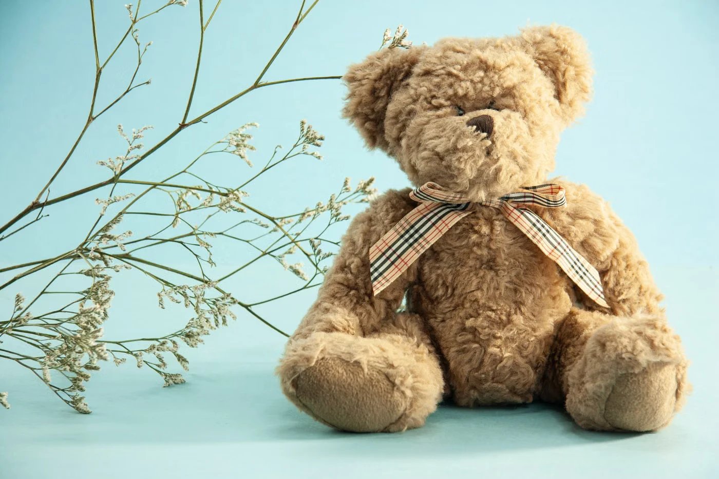 Küçük Peluş Ayı - 1