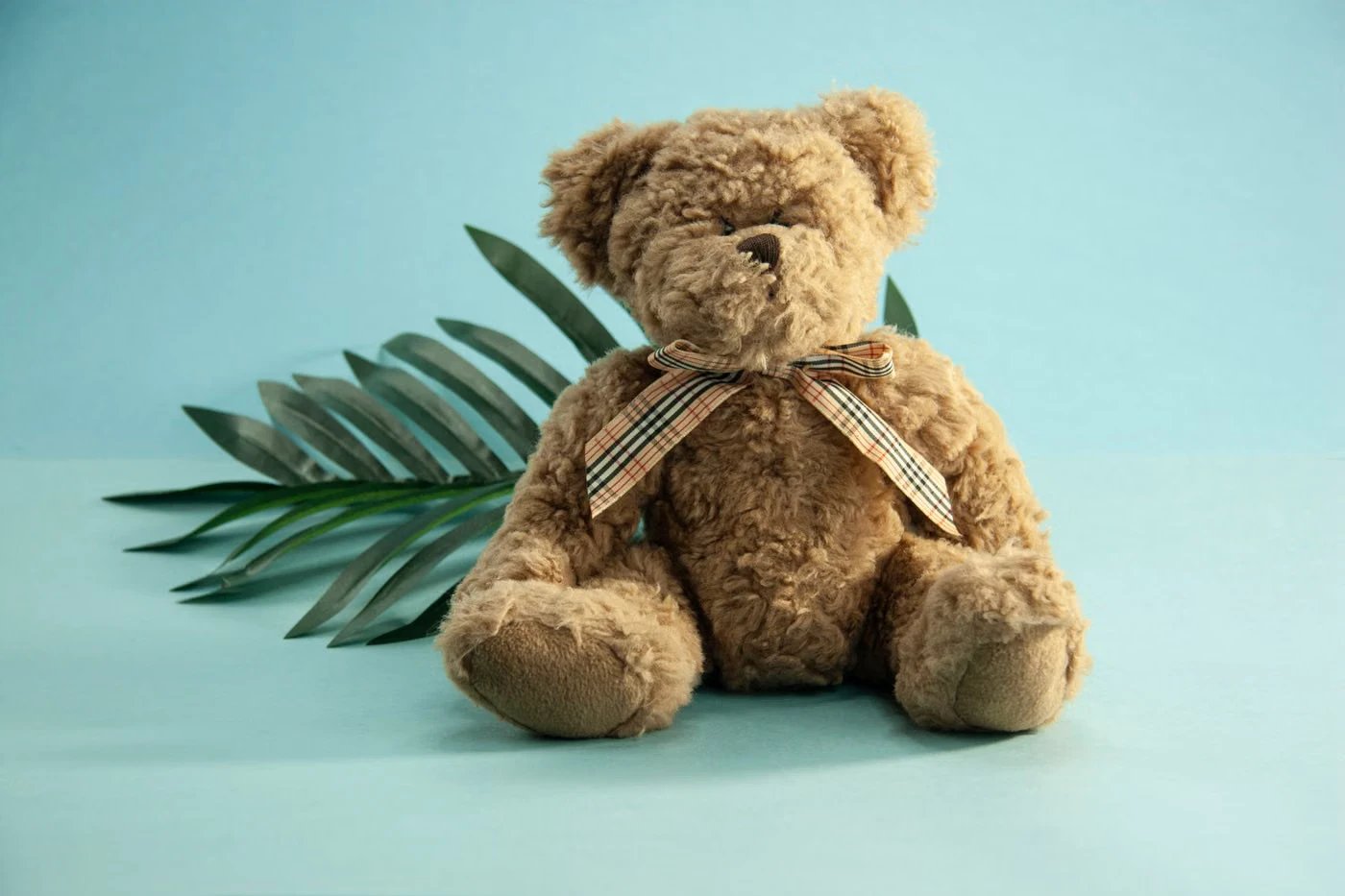 Küçük Peluş Ayı - 2