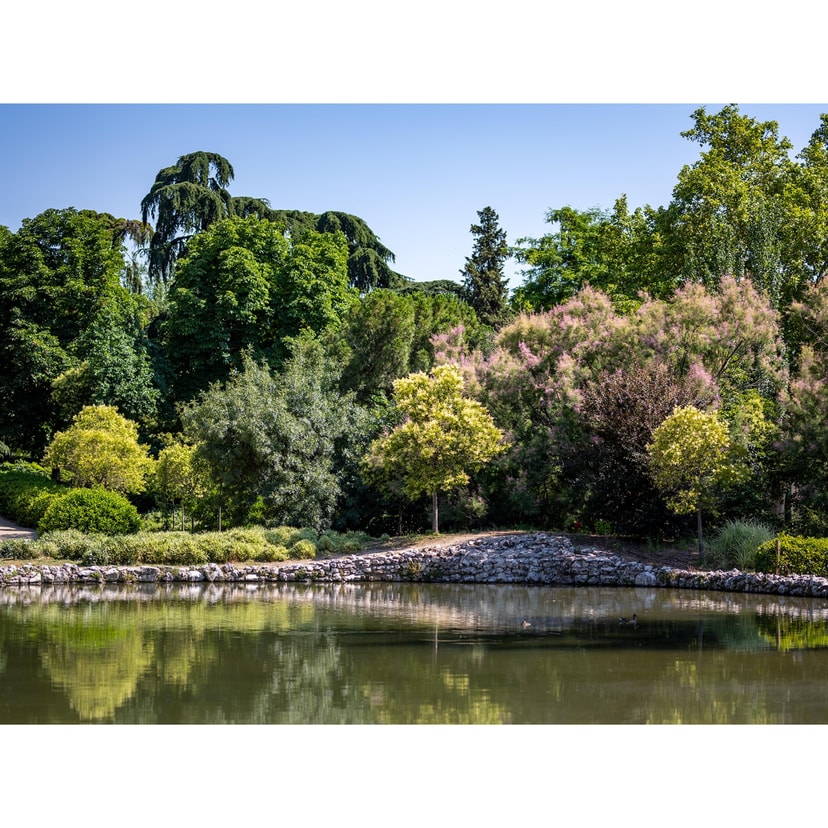 Activity image