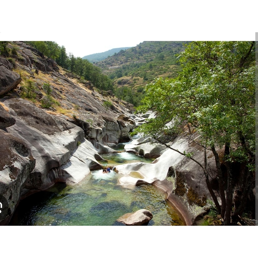 Activity image