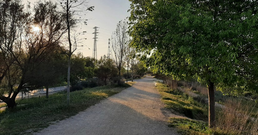 Activity image