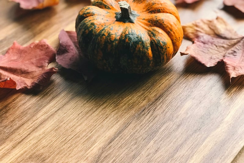 AM Art: Paper Lantern Pumpkins at Just Artin' Around Studio