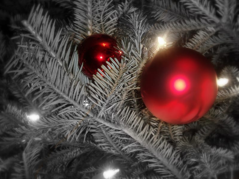 Illustrative image: red ornaments on a Christmas tree