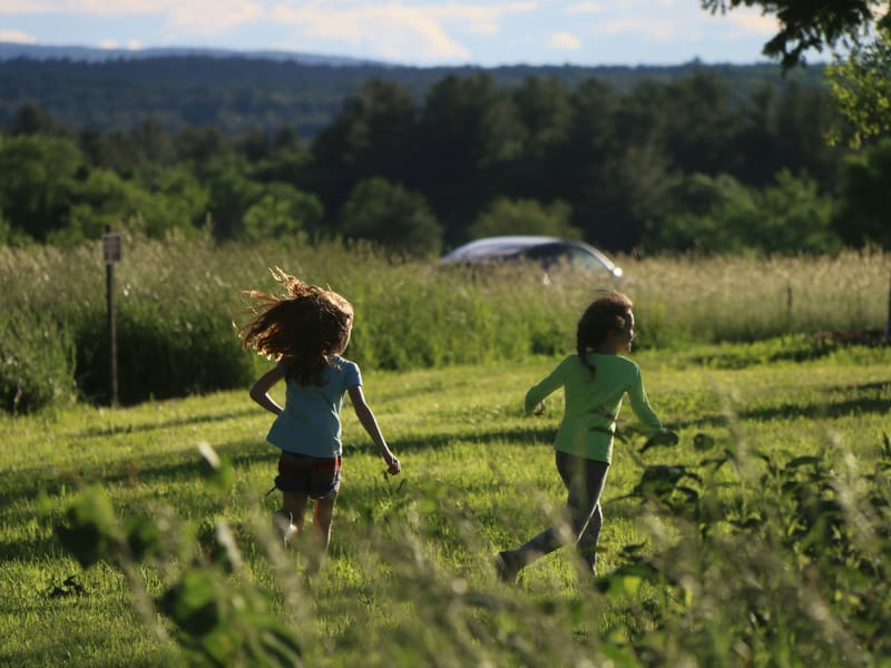 Illustrative image: two kids running through a sunlit grassy field, backs to camera