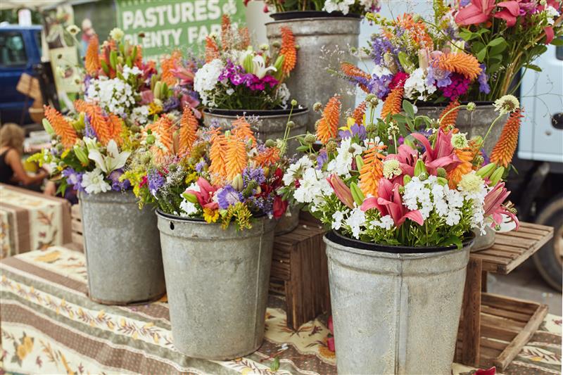 Highlands Ranch Farmers' Market at Highlands Ranch Town Center