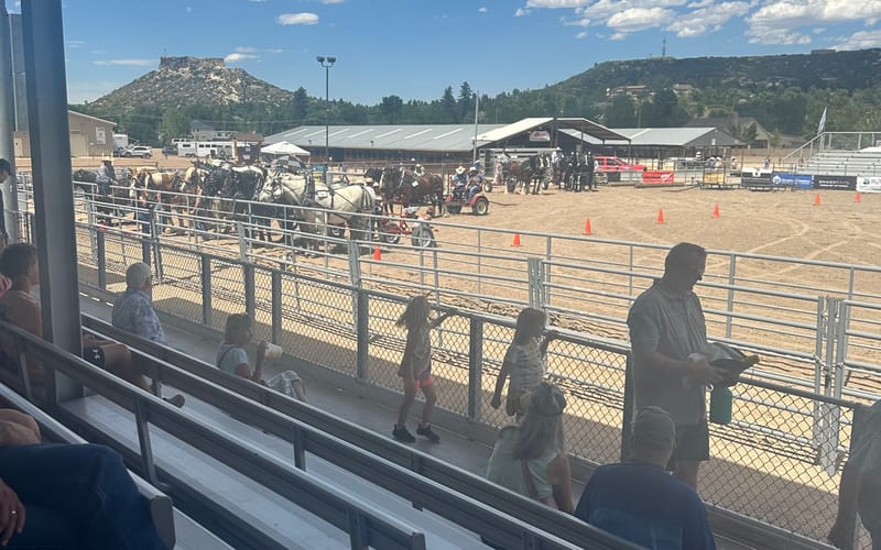 The Taste of Douglas County at the Douglas County Events Center on the fairgrounds in Castle Rock, Colorado