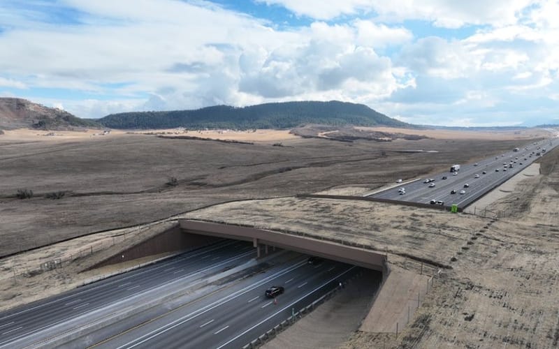 CDOT's aerial photo of the Greenland Wildlife Overpass spanning all six lanes of I-25 south of Larkspur, with Spruce Mountain behind it.