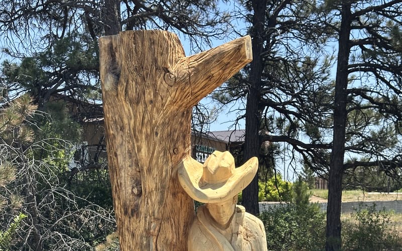 Close-up of a wooden cowboy sculpture carved into a standing tree trunk along Hangman's Gulch Trail in Castle Rock — cowboy hat, coat, and a hat held at his side, with pine trees behind.