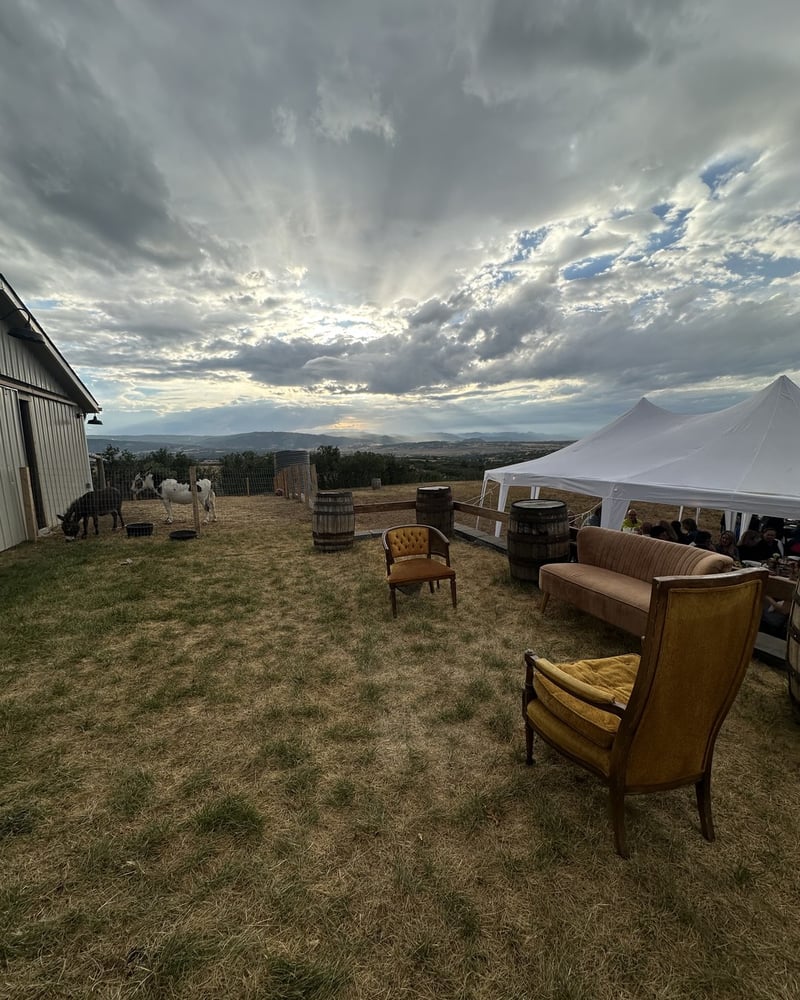 Vintage lounge chairs on the grass next to the dinner tents under an evening sky
