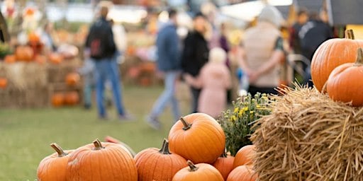 Community Fall Festival by the Westridge Church Group at Highlands Ranch Stake Center Parking Lot