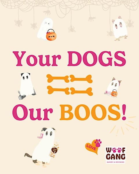 Dog-Tober at Woof Gang Bakery Parker at 17021 Lincoln Ave
