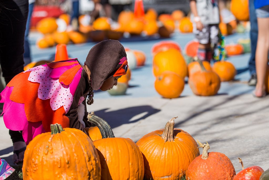 PumpkinFest at The Grange