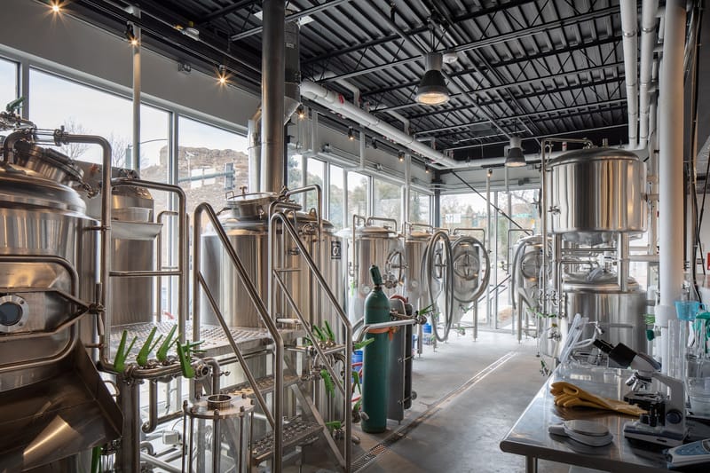 Wild Blue Yonder Brewing Co. bar in Castle Rock, Colorado