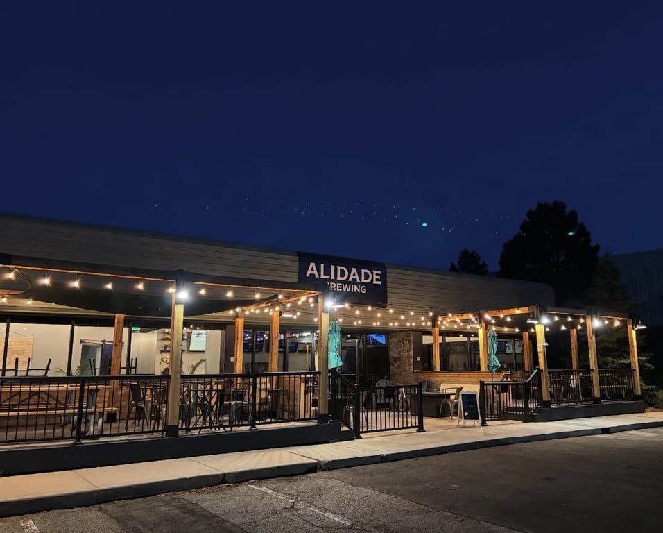 Puzzle Competition at Alidade