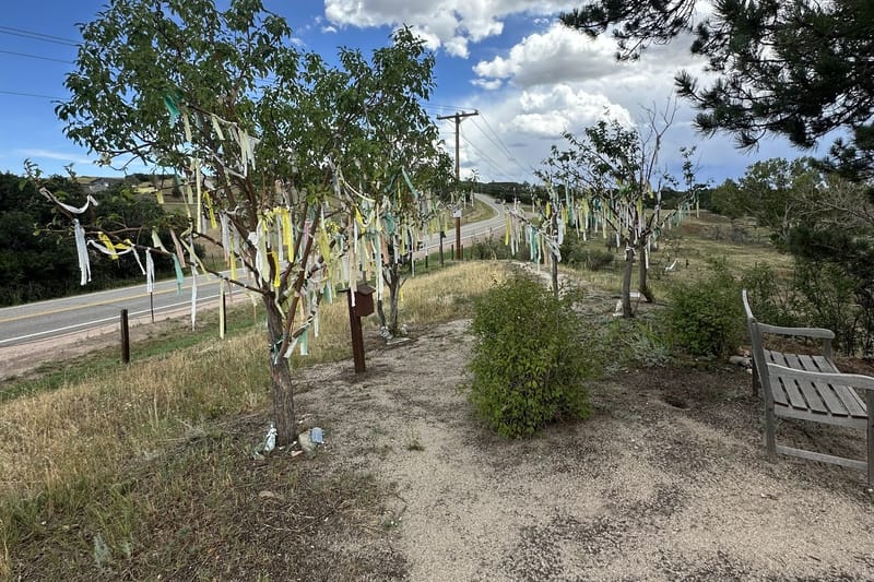 Wishing trees hung with cloth prayer streamers at A Sanctuary Center in Sedalia, Colorado