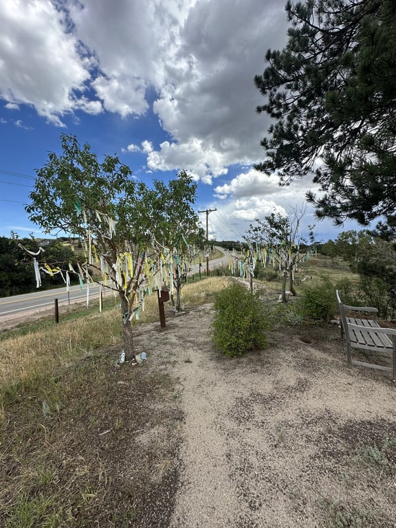 Wishing trees hung with cloth prayer streamers at A Sanctuary Center in Sedalia, Colorado