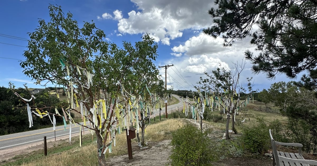 Wishing trees hung with cloth prayer streamers at A Sanctuary Center in Sedalia, Colorado