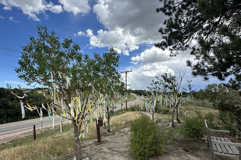 Wishing trees hung with cloth prayer streamers at A Sanctuary Center in Sedalia, Colorado
