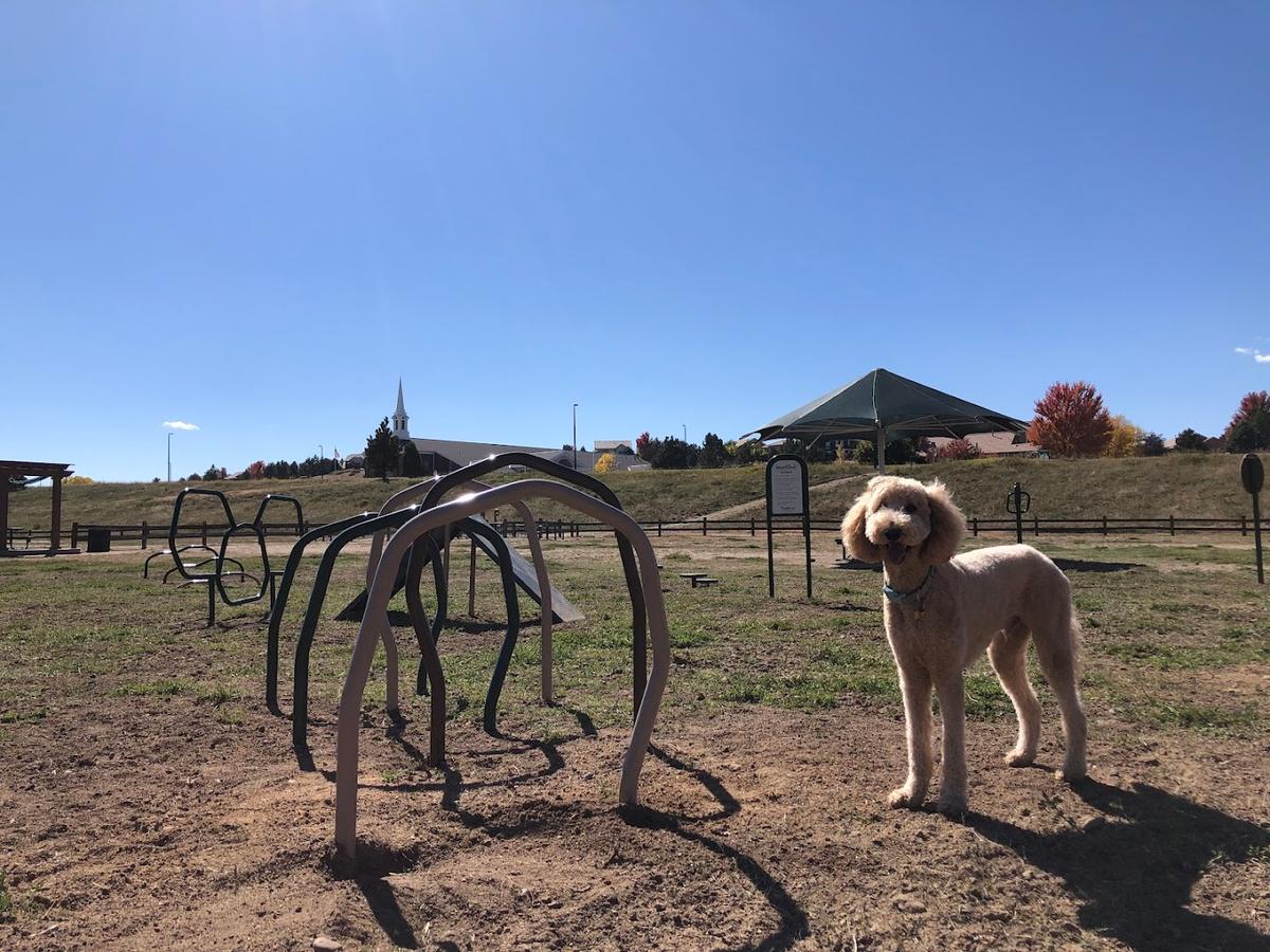 Wiggly Field Dog Park park in Castle Rock, Colorado
