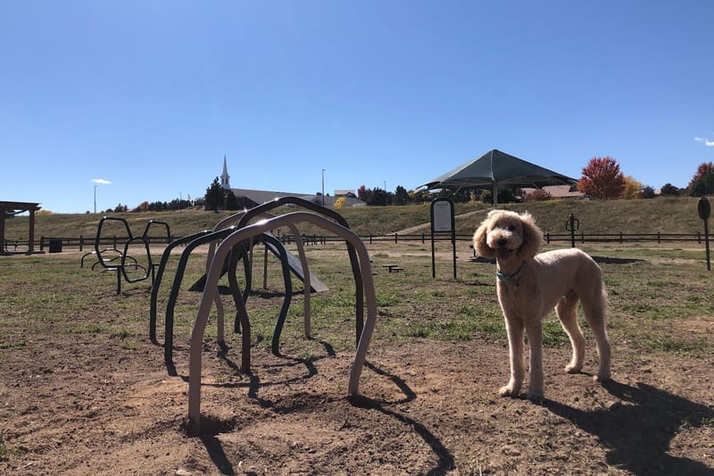 Wiggly Field Dog Park park in Castle Rock, Colorado