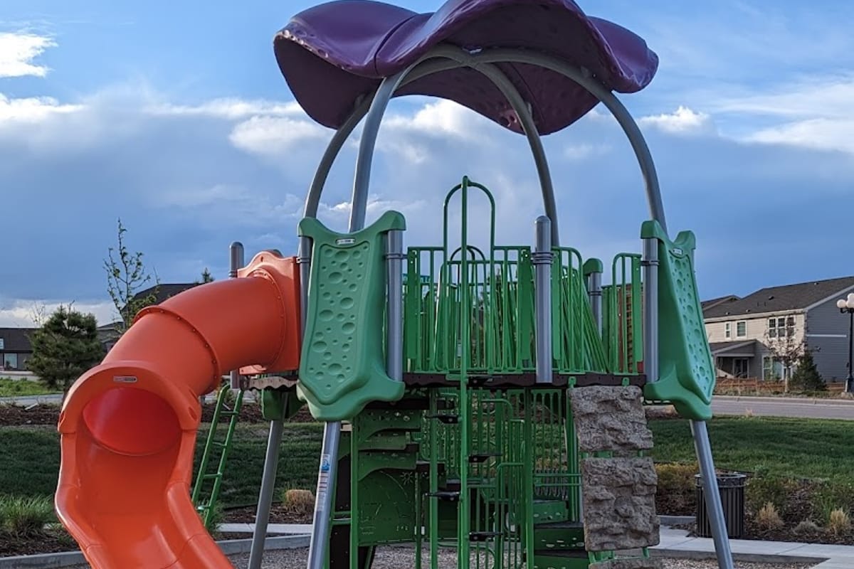 Interior view of Birch Run Park
