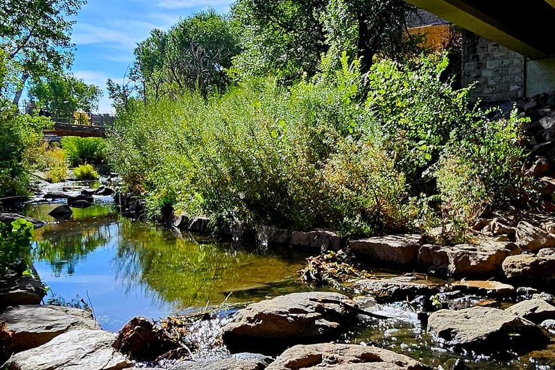 Sellars Gulch Trail park in Castle Rock, Colorado