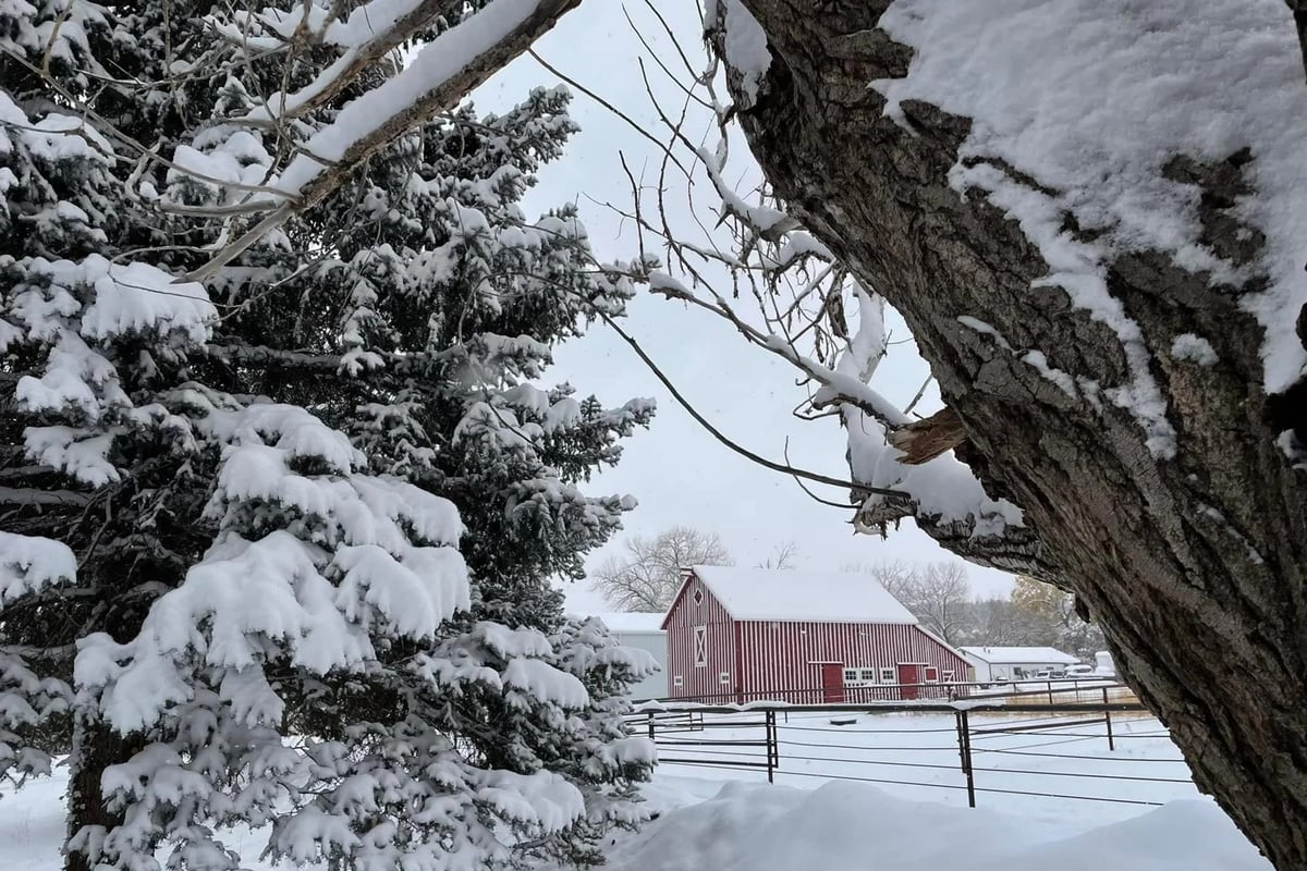 A red barn in the snow at Happy Dog Ranch, home of The Aspen Effect