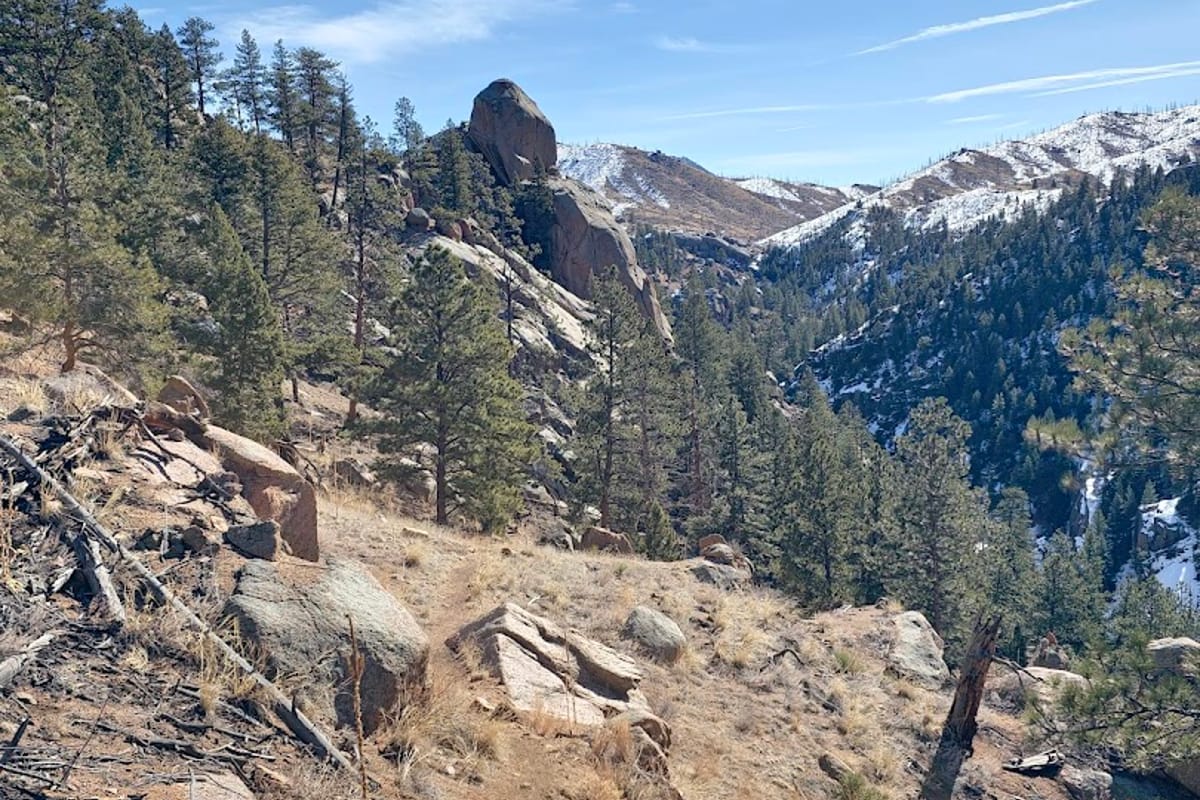 Upper Cheesman Canyon Trailhead dining area