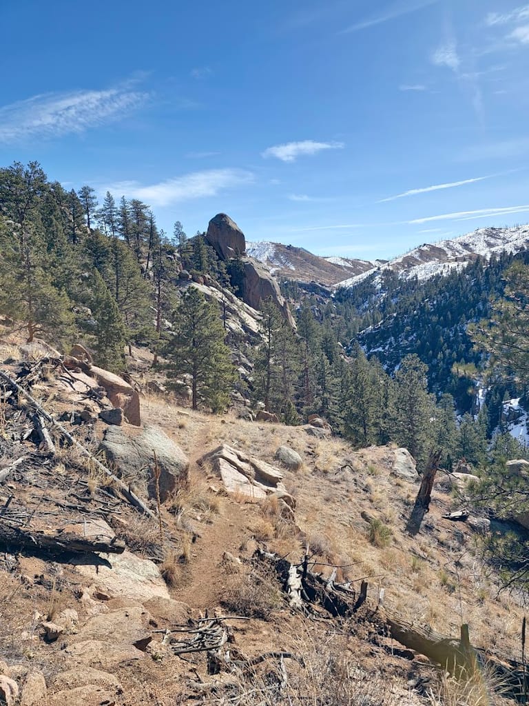 Upper Cheesman Canyon Trailhead dining area