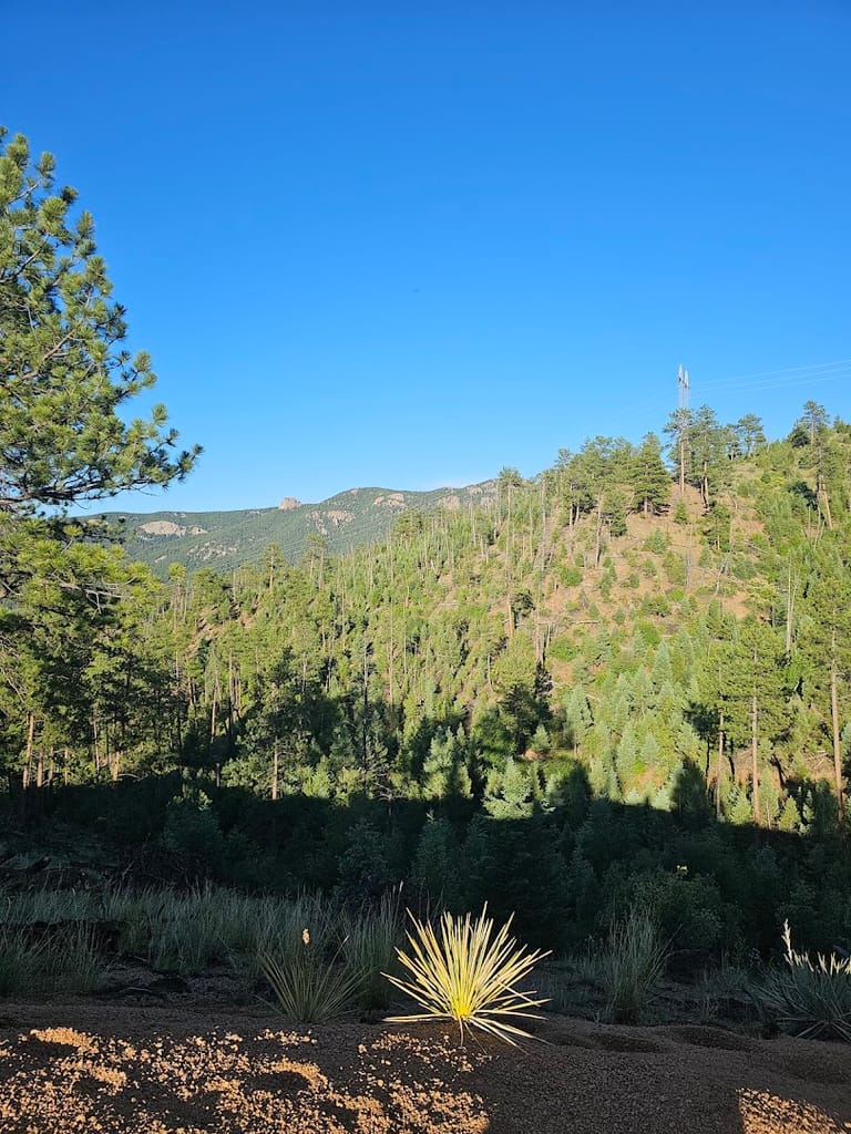 Sugar Creek Lower Trailhead atmosphere and seating