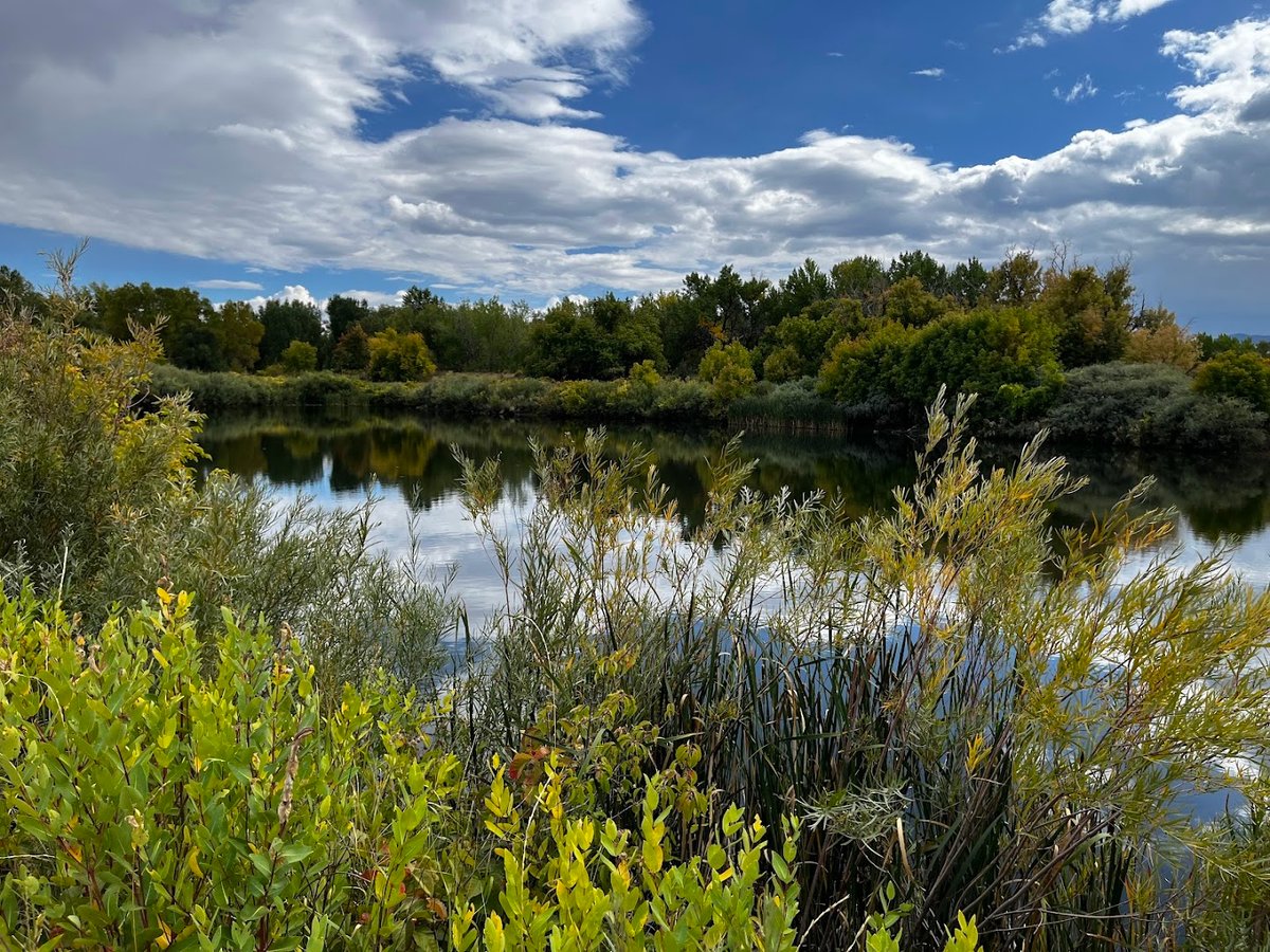Denver Audubon Kingery Nature Center featured offerings