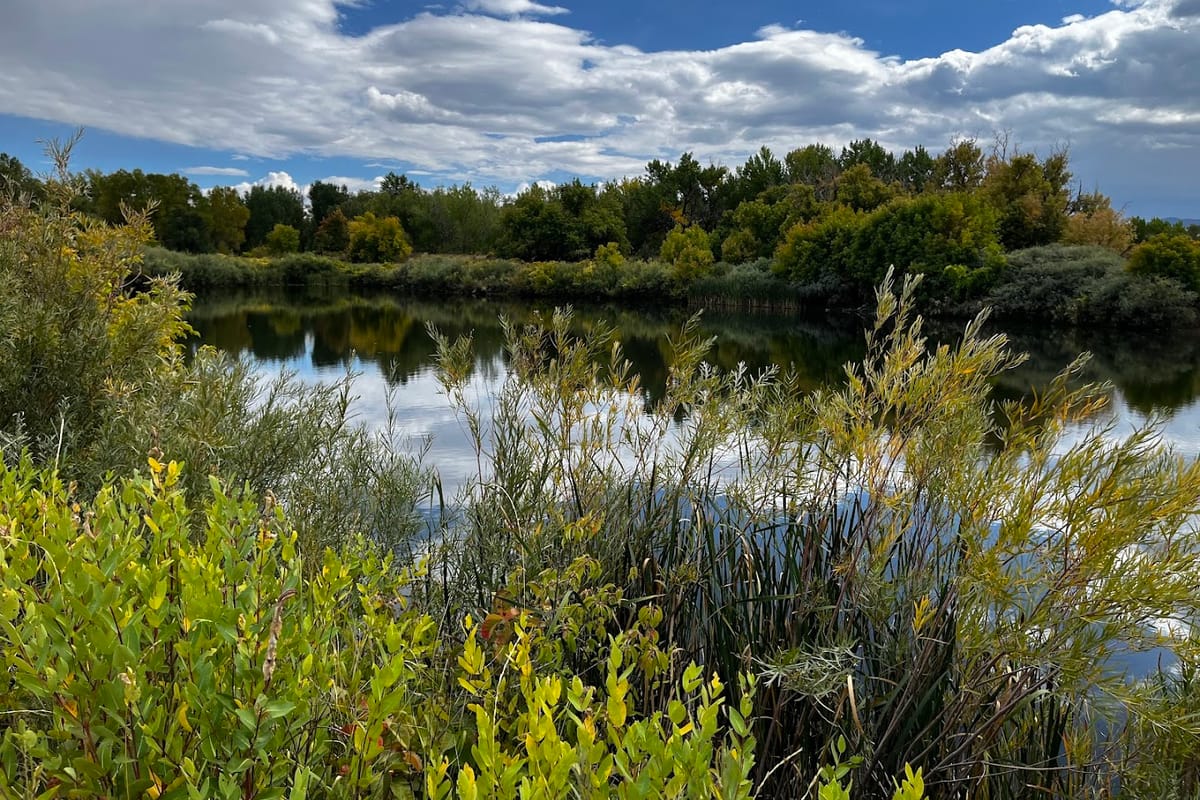Denver Audubon Kingery Nature Center featured offerings