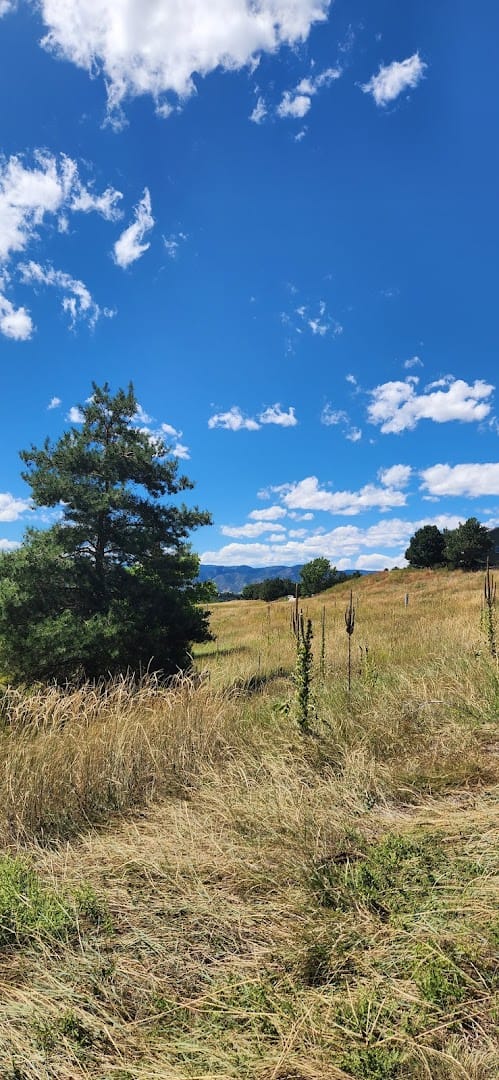 Interior view of Foothills Park