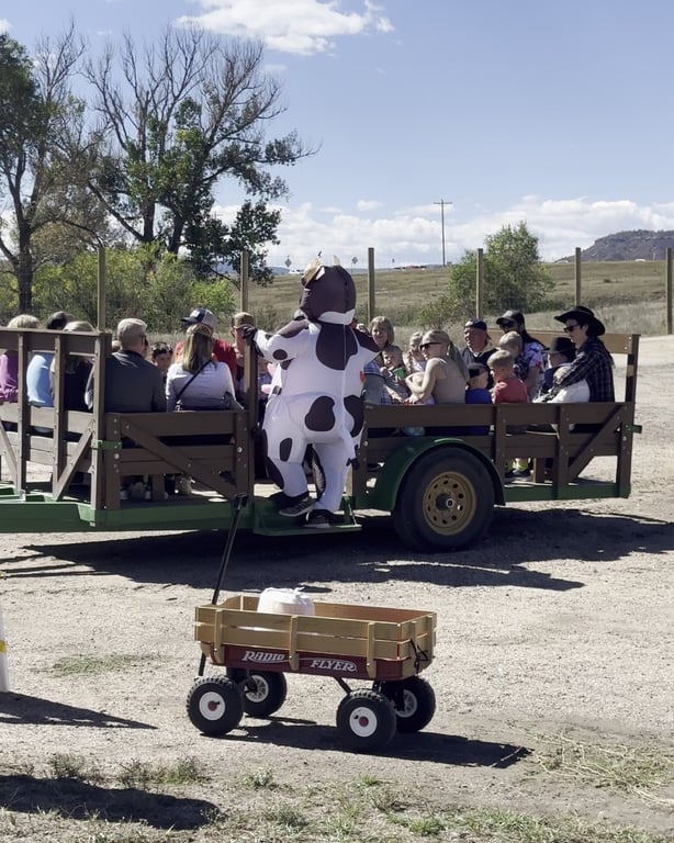 Someone in a cow suit riding along on the tractor-pulled hay ride wagon at CALF's Harvest Day