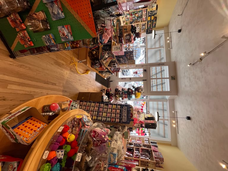 Interior view of Castle Toys