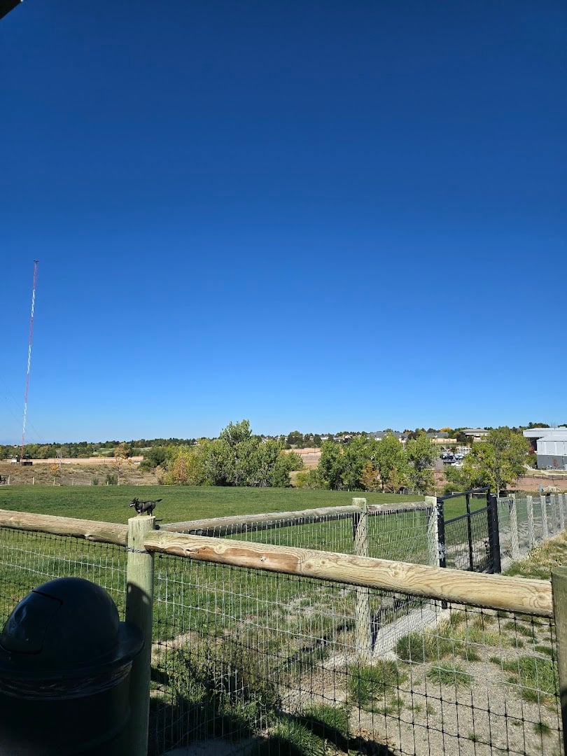 David Lorenz Dog Park atmosphere and seating