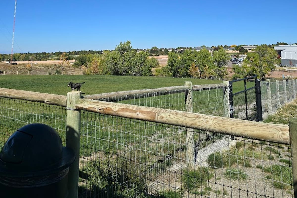 David Lorenz Dog Park atmosphere and seating