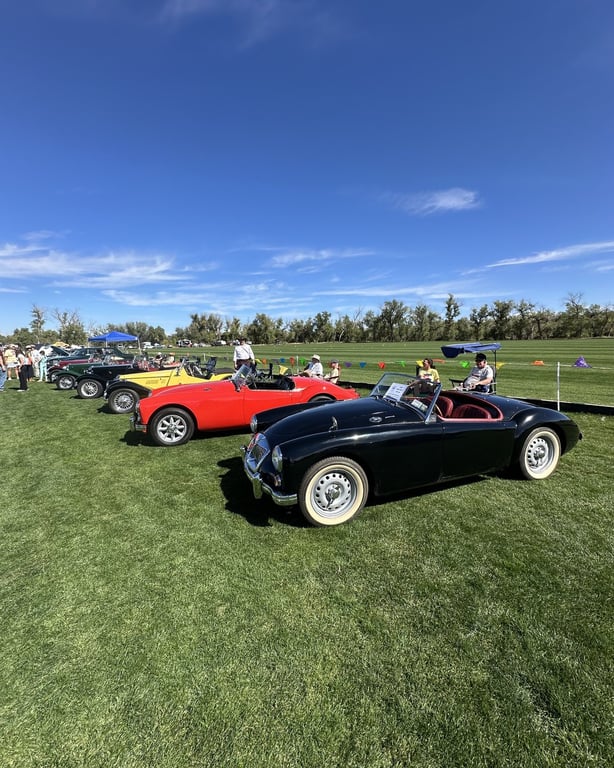 A row of classic British sports cars at the British Car Show at the Colorado Highland Games