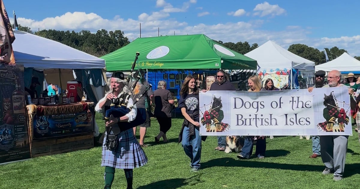 A piper in a kilt leading the Dogs of the British Isles banner in the Parade of British Dogs at the Colorado Highland Games in Sedalia
