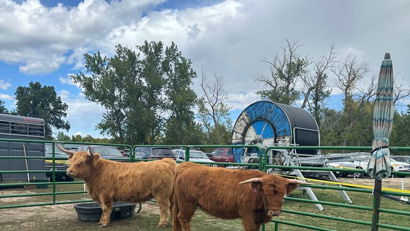 Colorado Highland Games at Denver Polo Club