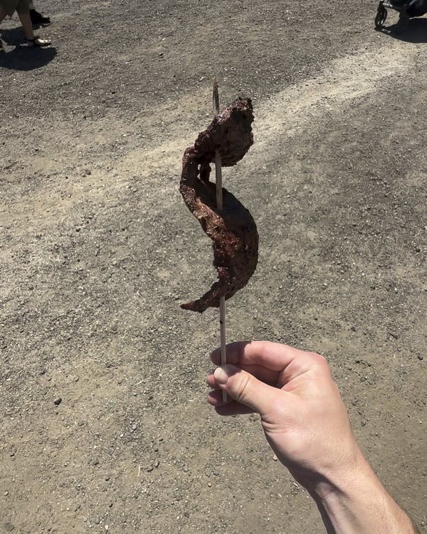 Steak on a stake at the Colorado Renaissance Festival