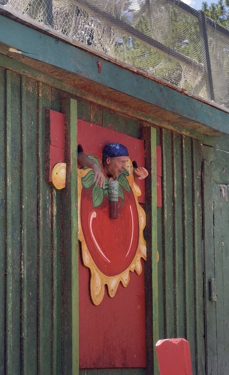 The Vegetable Justice stocks game at the Colorado Renaissance Festival, where visitors pay to throw tomatoes at a costumed heckler