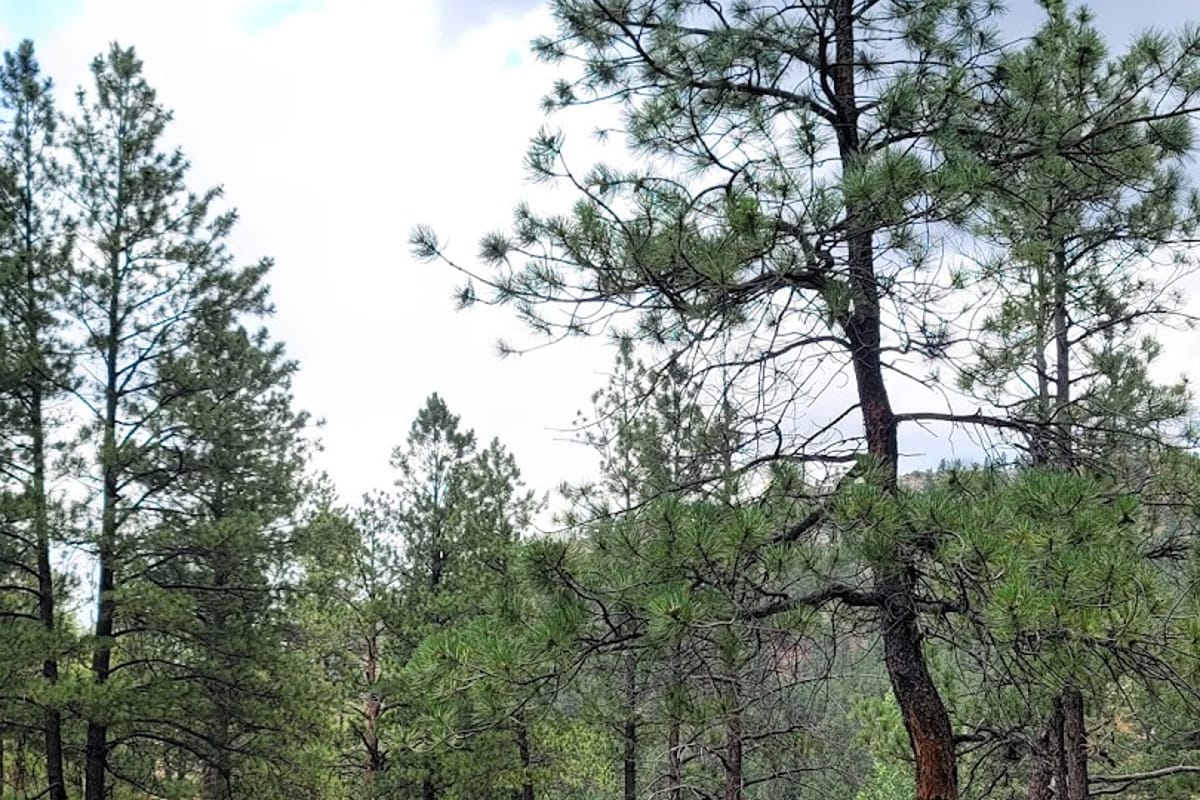 Lone Rock Campground dining area