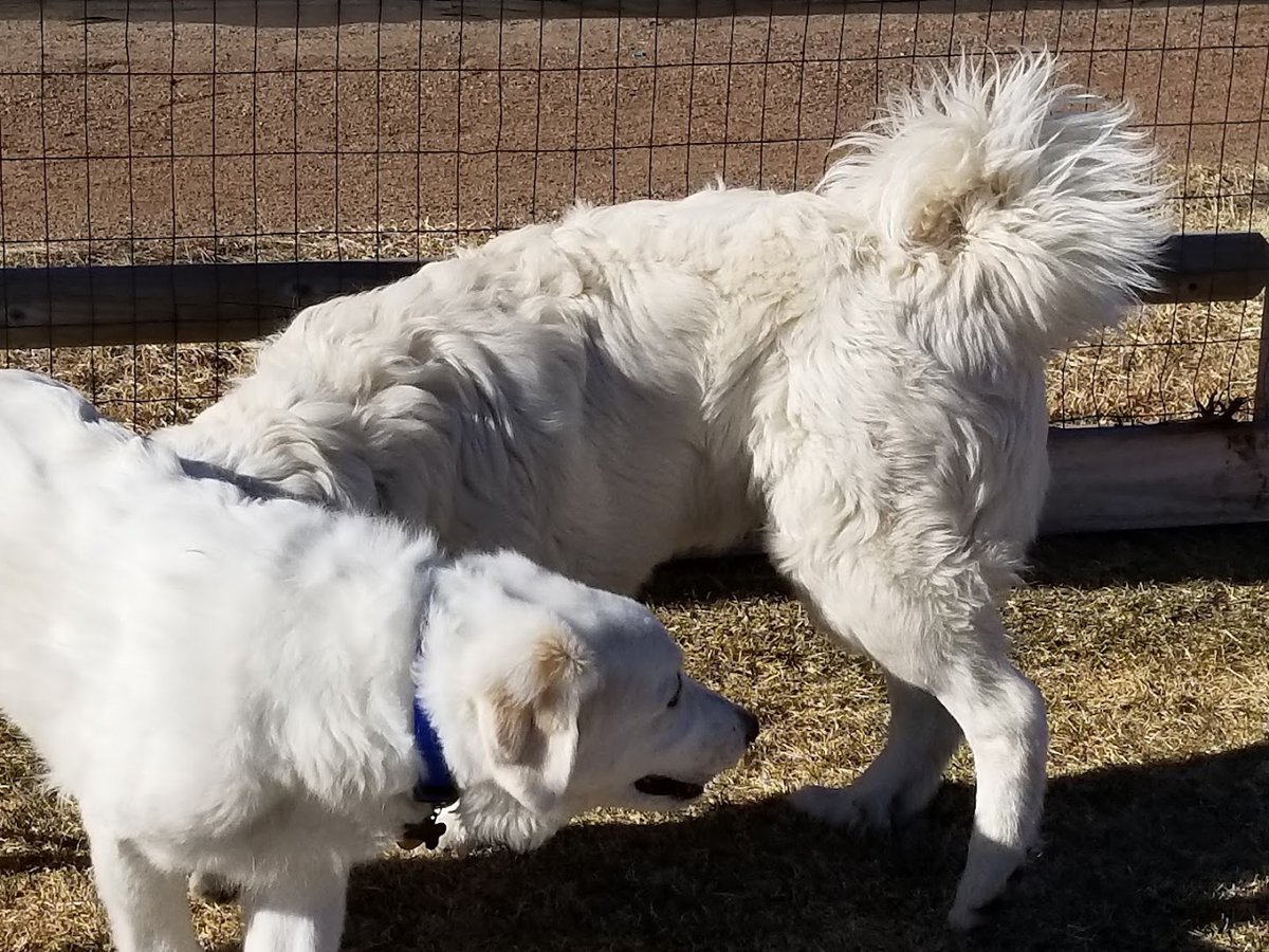 Bayou Gulch Dog Park exterior entrance