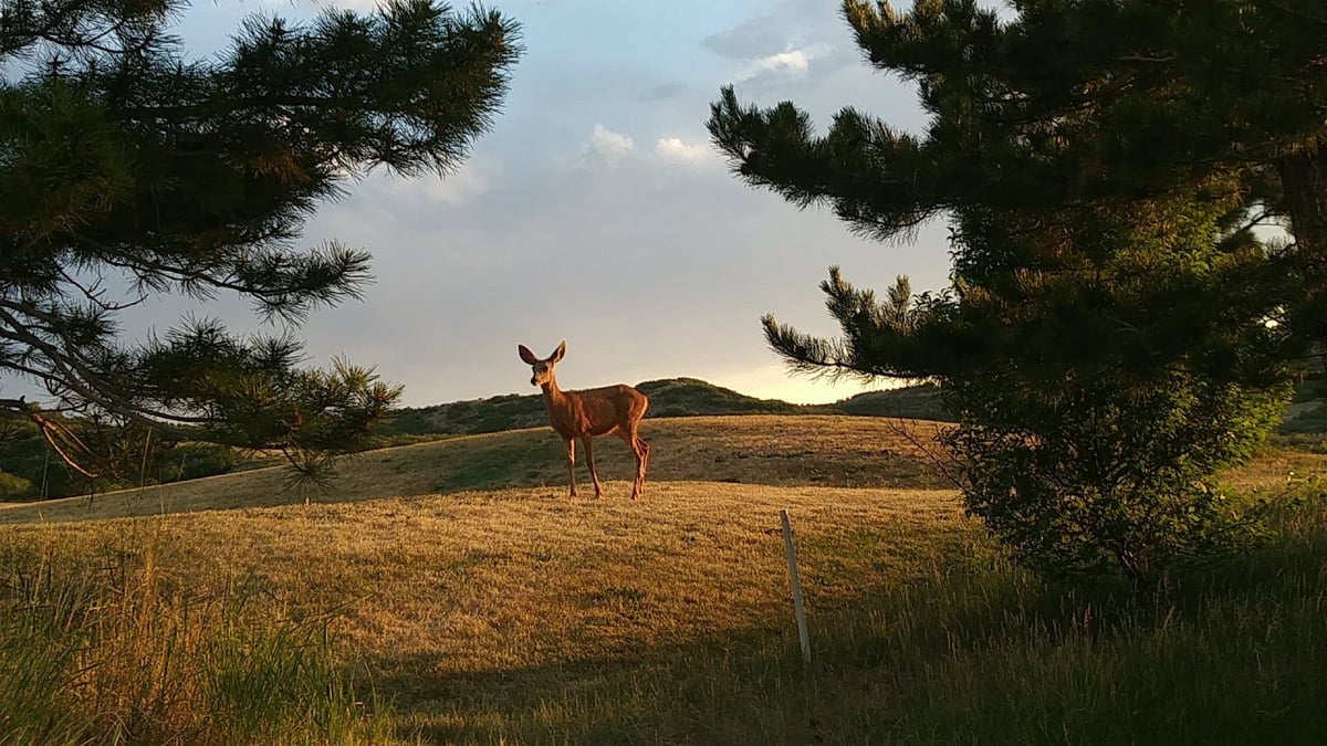 Red Hawk Ridge Golf Course featured offerings