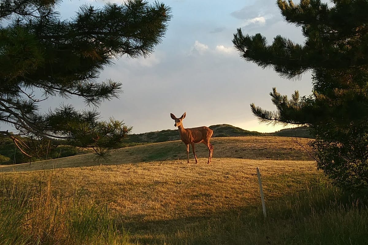 Red Hawk Ridge Golf Course featured offerings